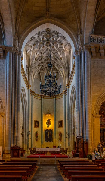 Ciudad Rodrigo Espanja Kesäkuuta 2022 Ciudad Rodrigon Katedraalin Sisätilat Espanjassa — kuvapankkivalokuva
