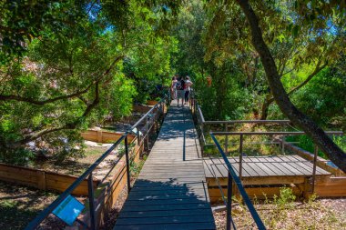 Albera, İspanya, 28 Mayıs 2022: İspanya 'da reprodüksiyon de tortugues de l' albera merkezi.