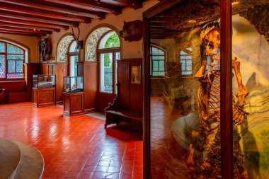 Luzern, İsviçre, 20 Eylül 2022: İsviçre 'nin Luzern kentindeki Buzul Bahçesi' nde sergi.