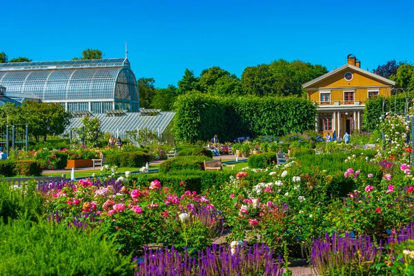 스웨덴 2022 View Rose Garden Goteborg Sweden Image — 스톡 사진