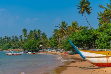 Mirissa, Sri Lanka, 22 Ocak 2022: Mirissa, Sri Lanka limanında balıkçı tekneleri.
