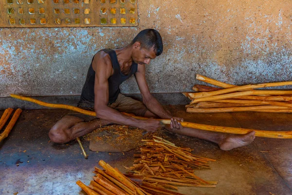 Mirissa, Sri Lanka, 22 Ocak 2022: Mirissa, Sri Lanka 'da tarçın çubukları üretimi.