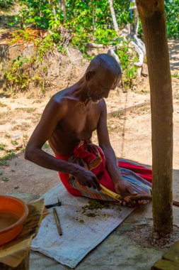 Koggala, Sri Lanka, 21 Ocak 2022: Koggala, Sri Lanka 'da tarçın çubukları üretimi.