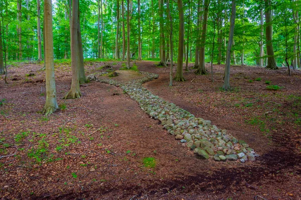 2022年6月20日デンマーク トラネッカー 夏の日にデンマークのトラネッカー スロットに属する公園での芸術的インスタレーション — ストック写真