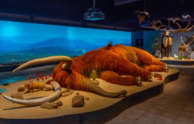 Tirpitz, Danimarka, 17 Haziran 2022: Danimarka 'daki Tirpitz sığınağında bir müzede tematik sergi.