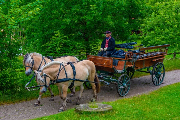 2022年6月19日デンマーク オデンス デンマークの伝統建築を持つデンマーク フィンスケ ランズビー野外博物館での馬車 — ストック写真