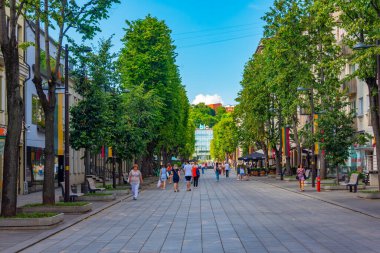 Kaunas, Litvanya, 5 Temmuz 2022: Kaunas, Litvanya şehir merkezinde Laisves Gatve Caddesi.