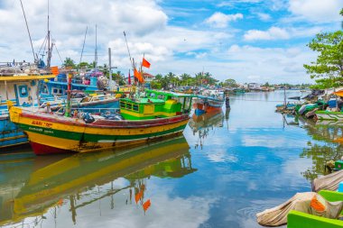 Negombo, Sri Lanka, 13 Şubat 2022: Sri Lanka 'daki Negombo lagününün kıyısına demir atan balıkçı tekneleri.