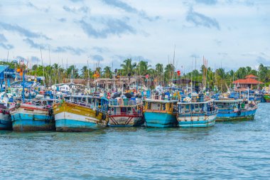 Negombo, Sri Lanka, 13 Şubat 2022: Sri Lanka 'daki Negombo lagününün kıyısına demir atan balıkçı tekneleri.