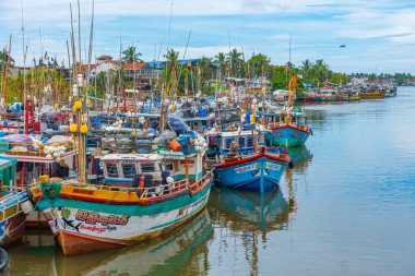 Negombo, Sri Lanka, 13 Şubat 2022: Sri Lanka 'daki Negombo lagününün kıyısına demir atan balıkçı tekneleri.