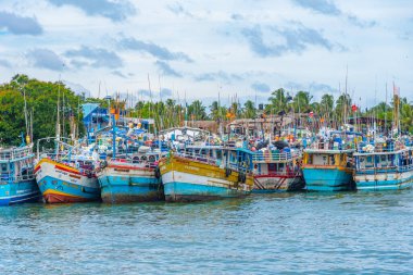 Negombo, Sri Lanka, 13 Şubat 2022: Sri Lanka 'daki Negombo lagününün kıyısına demir atan balıkçı tekneleri.