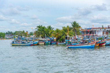 Negombo, Sri Lanka, 13 Şubat 2022: Sri Lanka 'daki Negombo lagününün kıyısına demir atan balıkçı tekneleri.