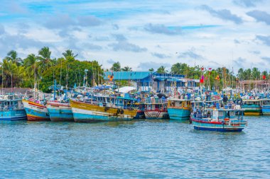 Negombo, Sri Lanka, 13 Şubat 2022: Sri Lanka 'daki Negombo lagününün kıyısına demir atan balıkçı tekneleri.