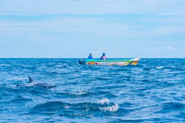 Kalpitiya, Sri Lanka, 12 Şubat 2022: Kalpitiya, Sri Lanka yakınlarında bir yunus sürüsü arasında balıkçılık yapan balıkçılar.