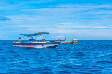 Kalpitiya, Sri Lanka, 12 Şubat 2022: Kalpitiya, Sri Lanka yakınlarında bir yunus sürüsü arasında balıkçılık yapan balıkçılar.