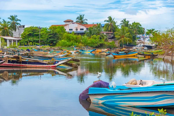 Negombo Sri Lanka Février 2022 Catamarans Traditionnels Amarrés Bord Lagune — Photo