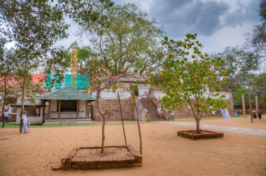 Anuradhapura, Sri Lanka, 9 Şubat 2022: Anuradhapura 'daki Sri Maha Bodhi ağacı - dünyanın en eski belgelenmiş ağacı, Sri Lanka.