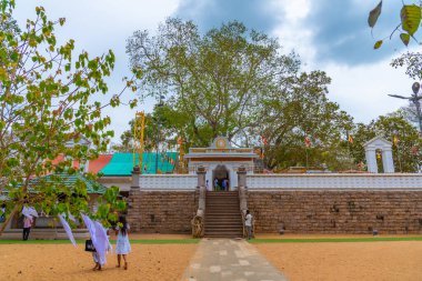 Anuradhapura, Sri Lanka, 9 Şubat 2022: Anuradhapura 'daki Sri Maha Bodhi ağacı - dünyanın en eski belgelenmiş ağacı, Sri Lanka.