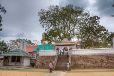 Anuradhapura, Sri Lanka, 9 Şubat 2022: Anuradhapura 'daki Sri Maha Bodhi ağacı - dünyanın en eski belgelenmiş ağacı, Sri Lanka.