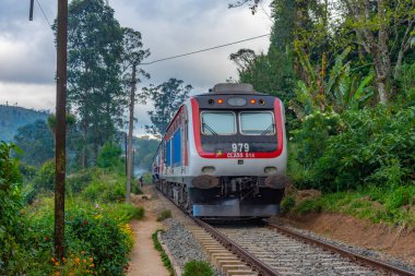 Haputale, Sri Lanka, 29 Ocak 2022: Sri Lanka 'daki çay tarlaları arasında modern Çin treni.