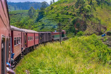 Ella, Sri Lanka, 29 Ocak 2022: Sri Lanka 'daki çay tarlaları arasında yamaçta gezinen tren.