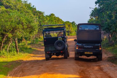 Yala, Sri Lanka, 25 Ocak 2022: Sri Lanka 'daki Yala Milli Parkı Safari cipleriyle dolup taşıyor.