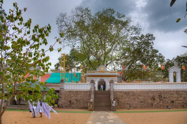 Anuradhapura Sri Lanka Fevereiro 2022 Sri Maha Bodhi Anuradhapura Árvore — Fotografia de Stock