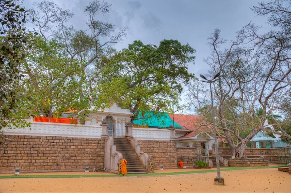 Anuradhapura Sri Lanka Fevereiro 2022 Sri Maha Bodhi Anuradhapura Árvore — Fotografia de Stock