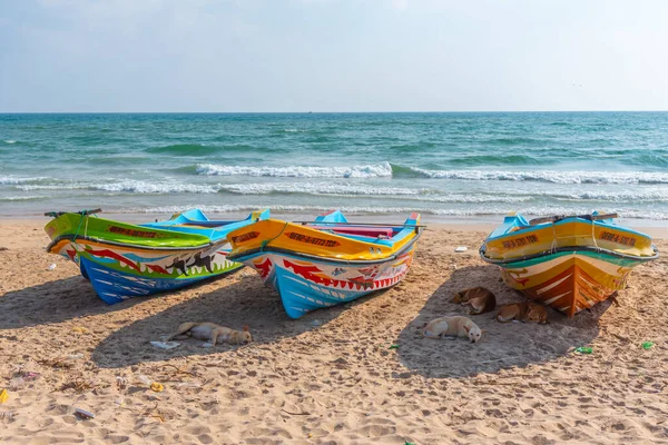 stock image Trincomalee, Sri Lanka, February 6, 2022: Fishing boats at Trincomalee, Sri Lanka.