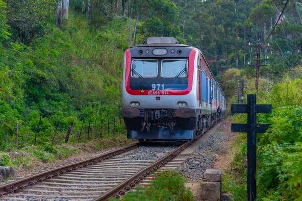 stock image Haputale, Sri Lanka, January 29, 2022: Modern chinese train among tea plantations at Sri Lanka.