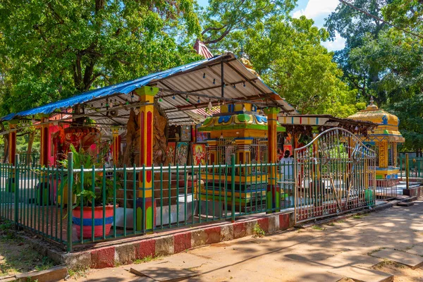 stock image Kataragama, Sri Lanka, January 27, 2022: Kataragama represent a major pilgrimage site in Sri Lanka important for Buddhists, Hinduists, Muslims and Veddah people.