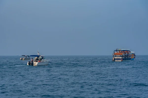 Mirissa Sri Lanka Janvier 2022 Excursion Observation Des Baleines Mirissa — Photo