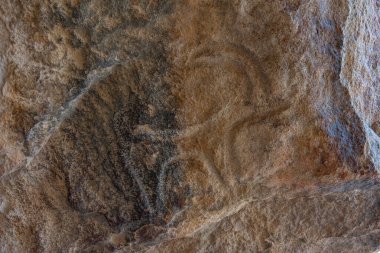 Azerbaycan 'daki Qobustan Petroglyph rezervi