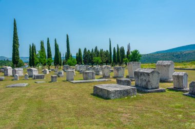 Bosna-Hersek 'teki Radimlja mezarlığında taş mezarlar