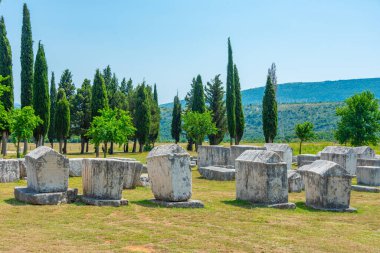 Bosna-Hersek 'teki Radimlja mezarlığında taş mezarlar