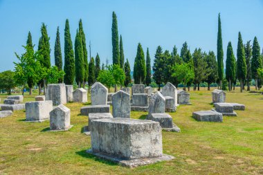 Bosna-Hersek 'teki Radimlja mezarlığında taş mezarlar