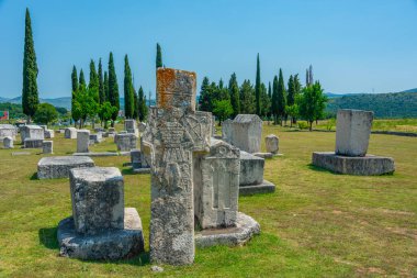 Bosna-Hersek 'teki Radimlja mezarlığında taş mezarlar