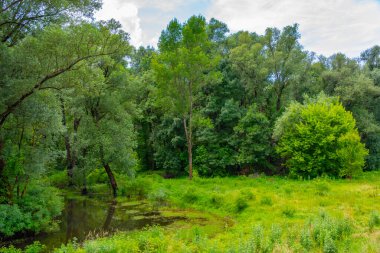 Hırvatistan kırsalından geçen Sava Nehri