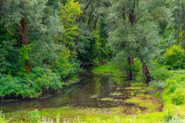 Hırvatistan kırsalından geçen Sava Nehri