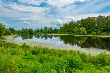 Hırvatistan kırsalından geçen Sava Nehri