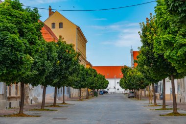 Hırvatistan 'ın eski Osijek kentindeki yaya sokağı