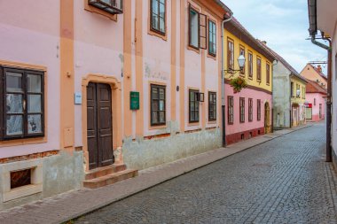 Hırvat kenti Varazdin 'in tarihi caddesi