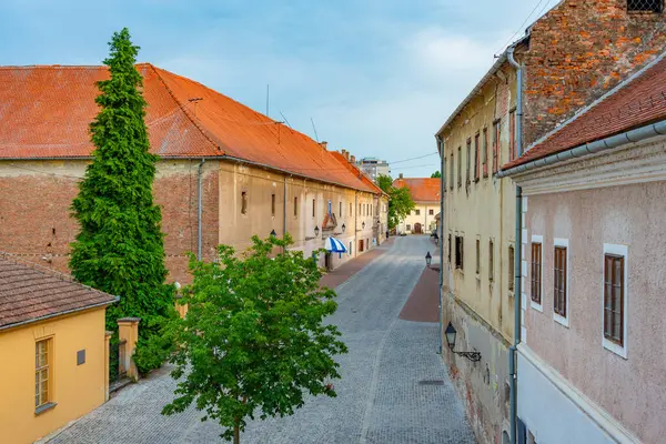 Hırvatistan 'ın eski Osijek kentindeki yaya sokağı