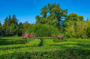 Güneşli bir günde Georgia 'daki Tsinandali Parkı