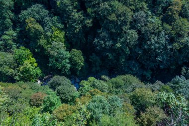 Georgia 'daki Okatse Kanyonu' nda yaz günü.