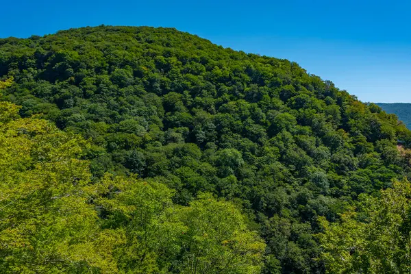 Georgia 'daki Okatse Kanyonu' nda yaz günü.