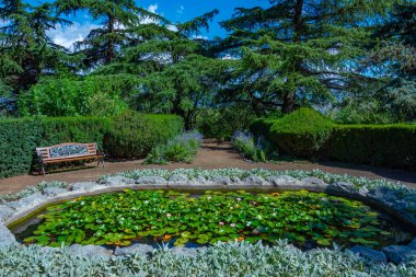 Georgia 'daki Tiflis botanik bahçesinde yaz günü.