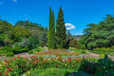 Georgia 'daki Tiflis botanik bahçesinde yaz günü.