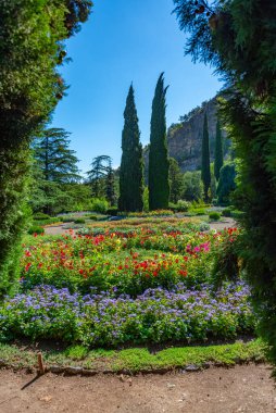 Georgia 'daki Tiflis botanik bahçesinde yaz günü.