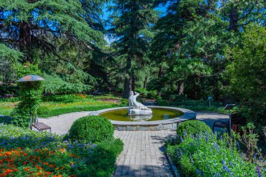 Georgia 'daki Tiflis botanik bahçesinde yaz günü.
